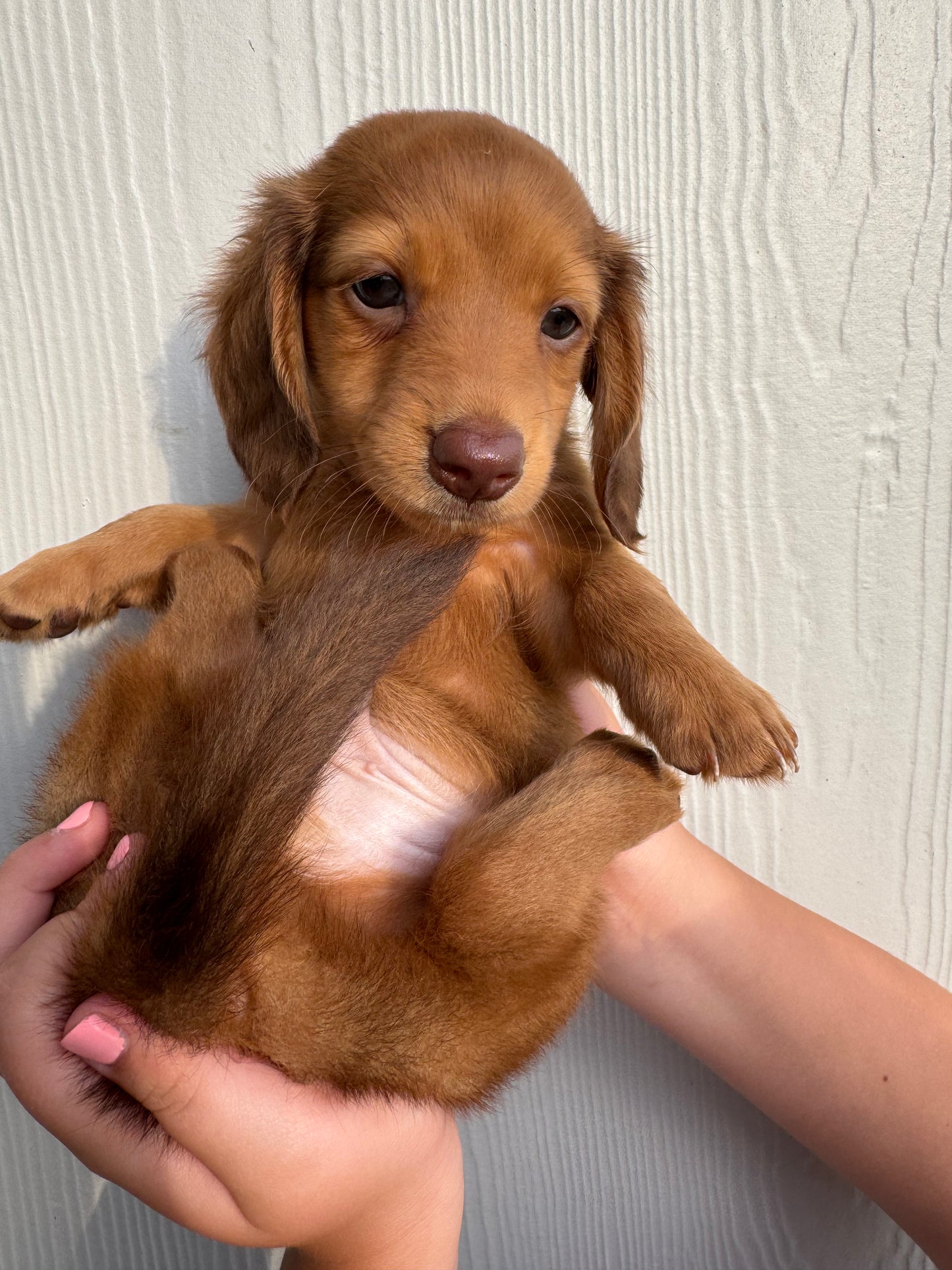 Cooper
